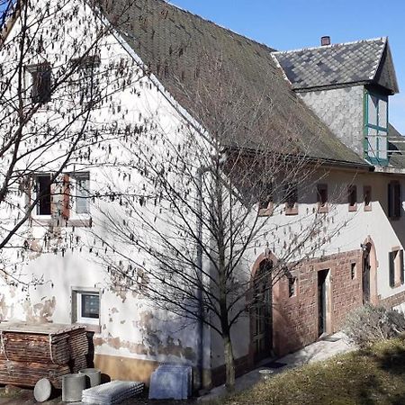 Nordiques De La Welche Villa Orbey Exteriör bild