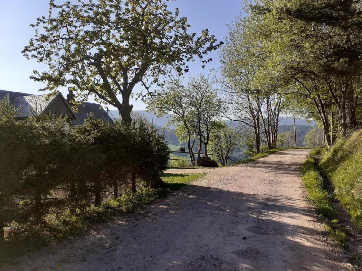 Nordiques De La Welche Villa Orbey Exteriör bild