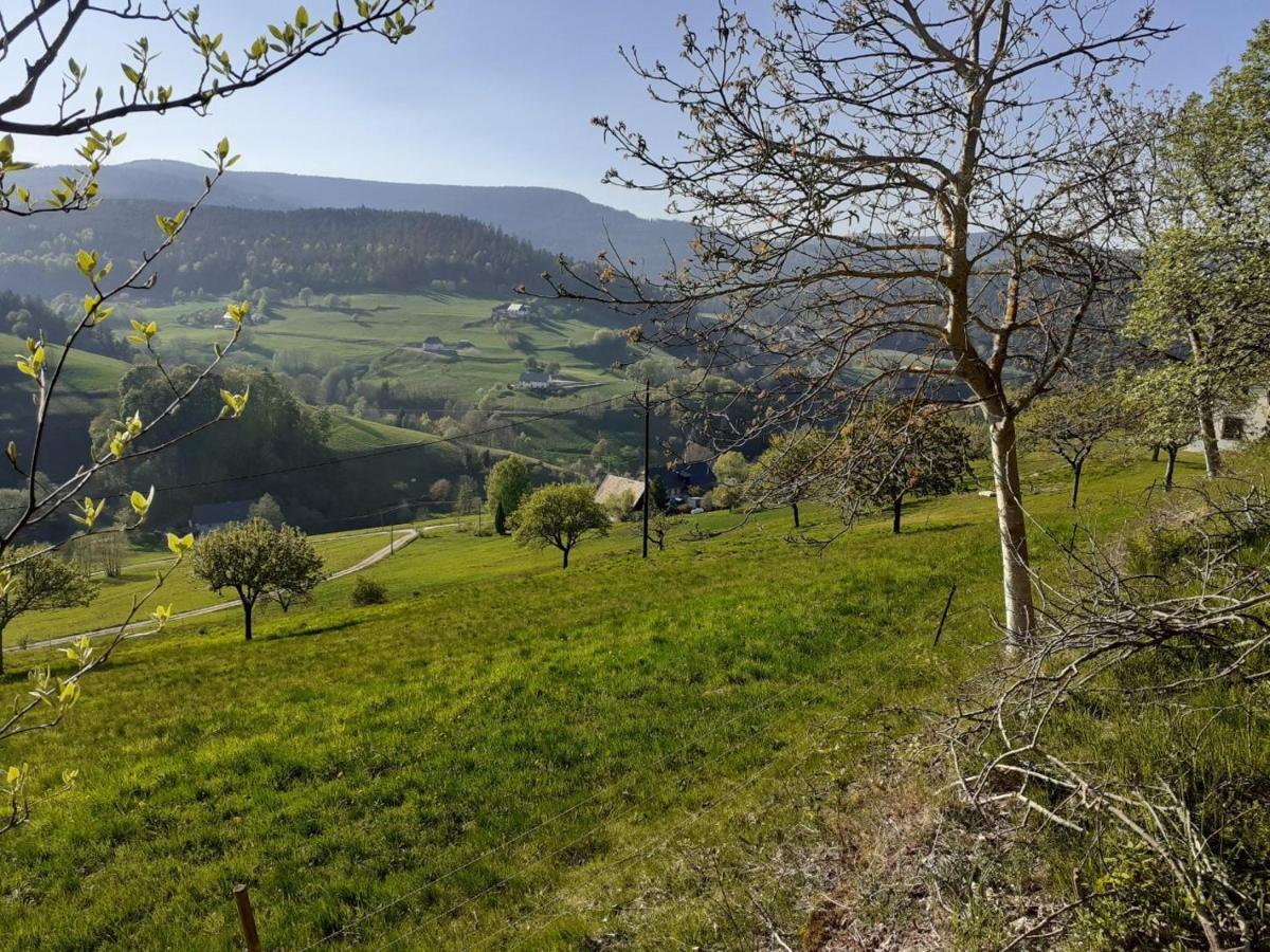 Nordiques De La Welche Villa Orbey Exteriör bild