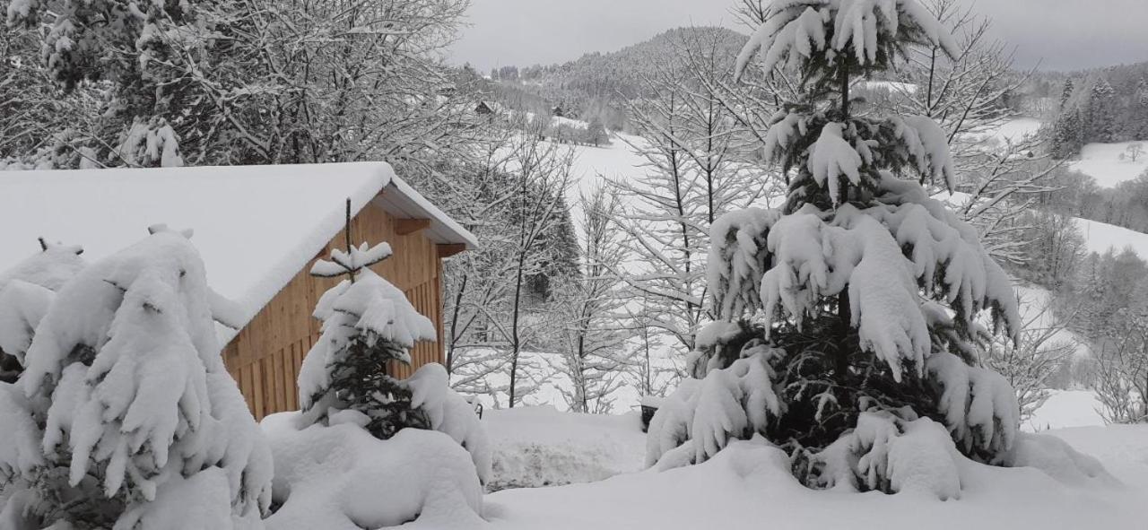 Nordiques De La Welche Villa Orbey Exteriör bild