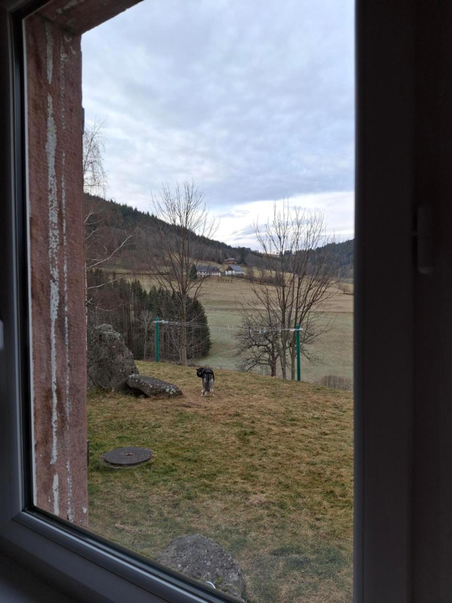 Nordiques De La Welche Villa Orbey Exteriör bild