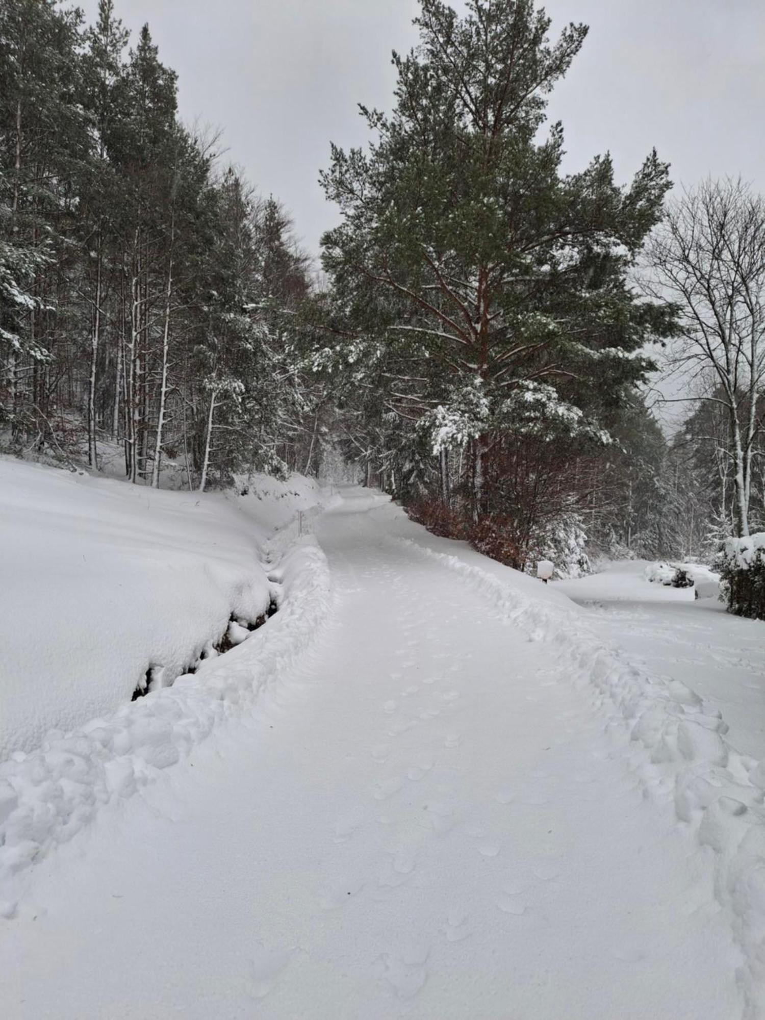 Nordiques De La Welche Villa Orbey Exteriör bild